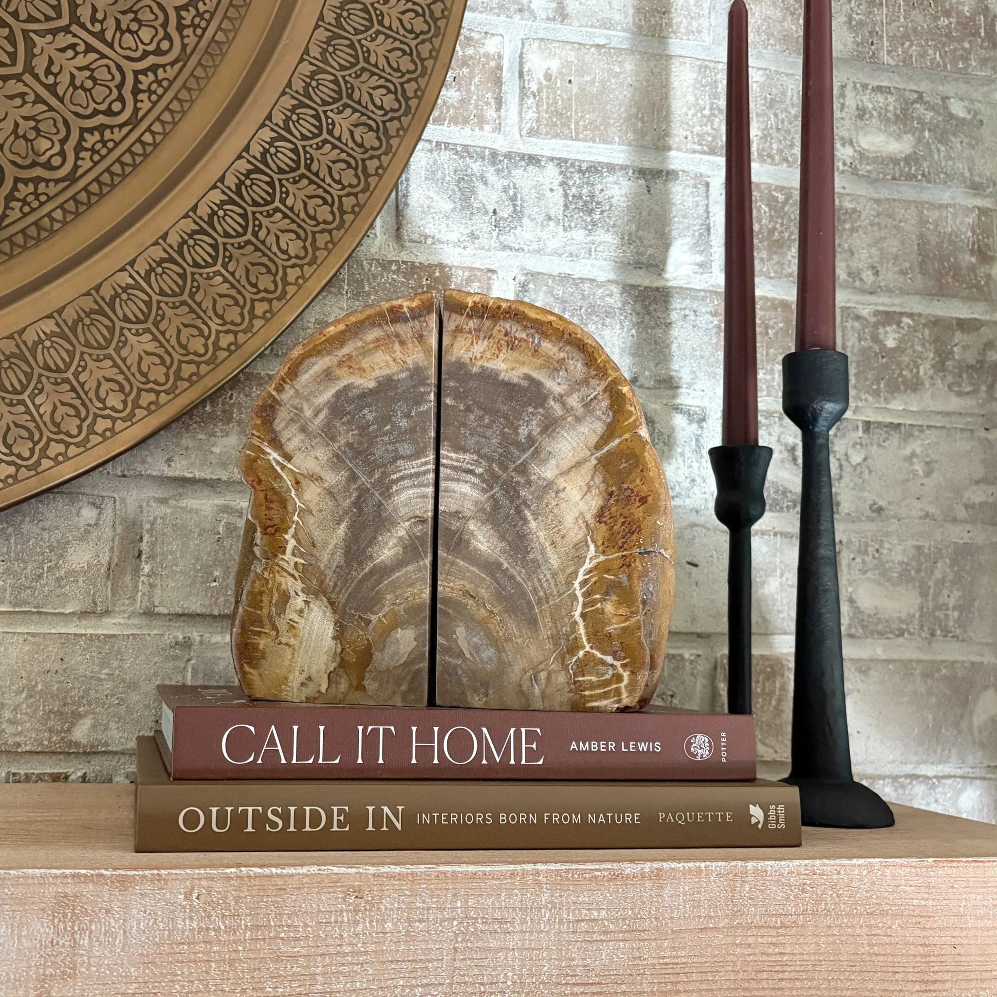 Petrified Wood Bookend Pair