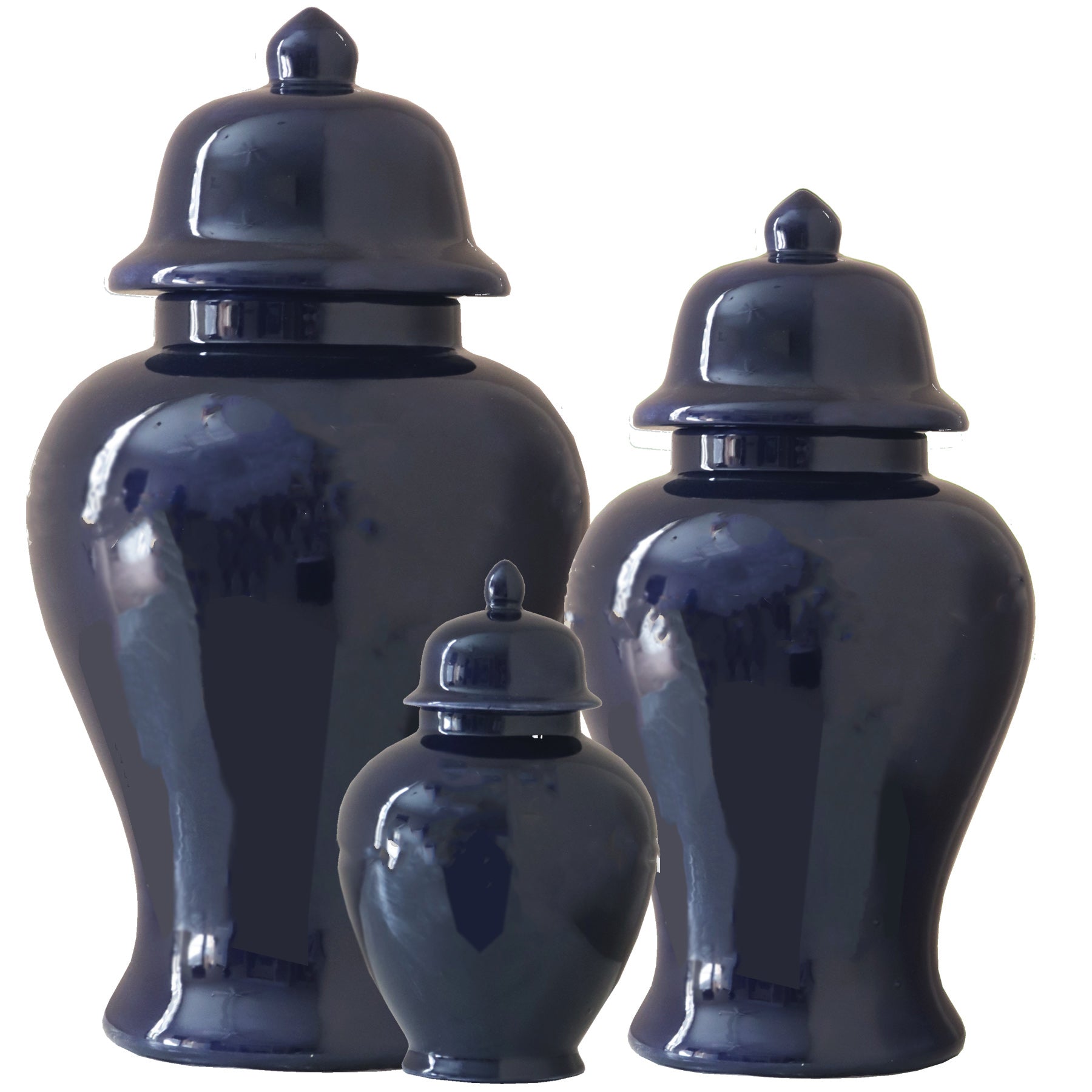 Navy Blue Ginger Jars