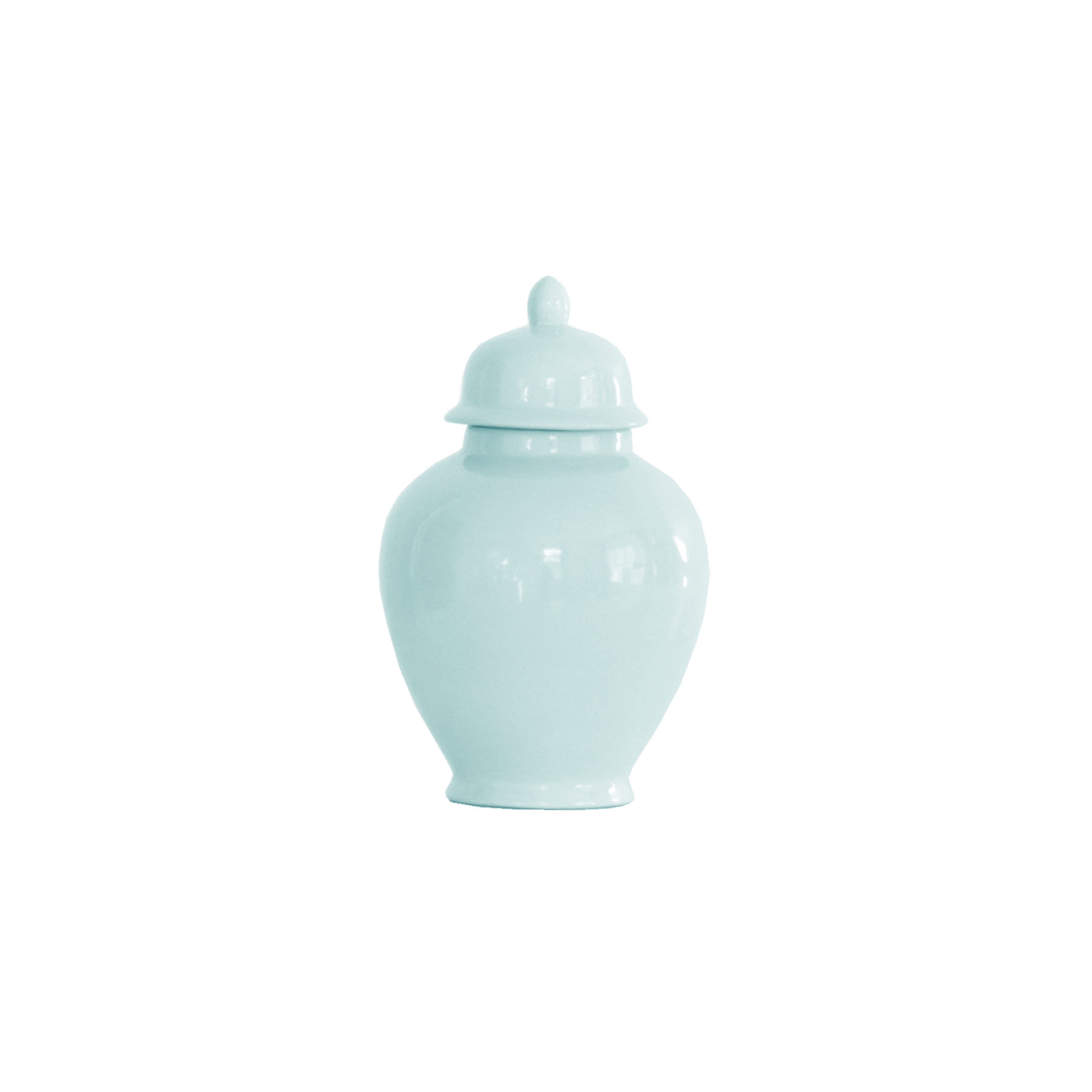 Robin's Egg Blue Ginger Jars