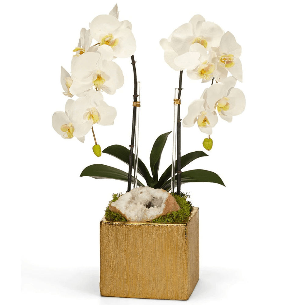 T&C Floral Double Orchids in Gold Ceramic Cube with Moroccan Geode